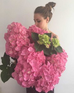 Preciosas hortensias, en TRENCADISSA, floristería online