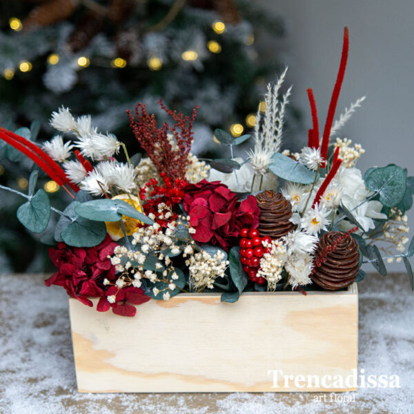 Caja de madera con plantas de navidad
