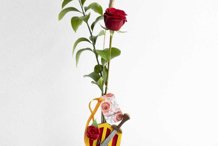 Escuc Sant Jordi amb rosa extra de 80cm.