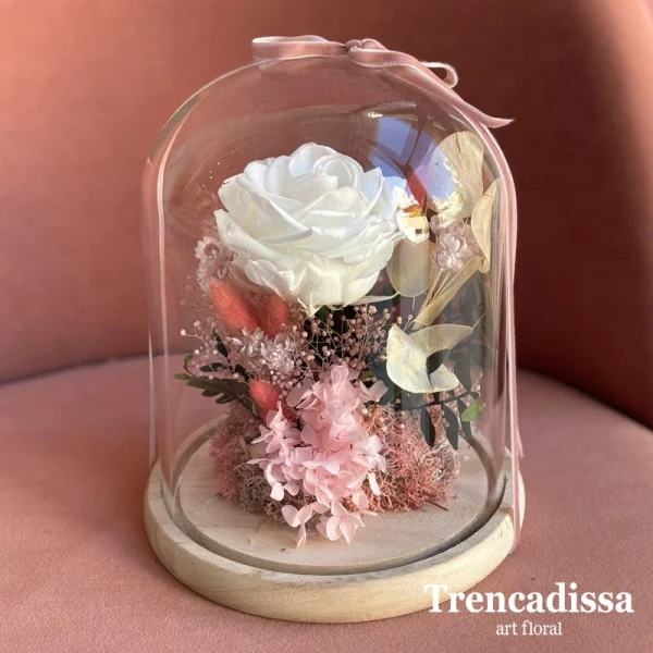 Cúpula con Rosa preservada extra blanca