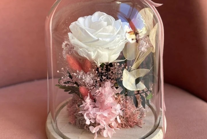 Cúpula con Rosa preservada extra blanca