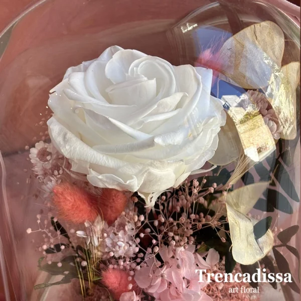 Cúpula con Rosa preservada extra blanca