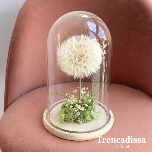 Diente de león preservado
