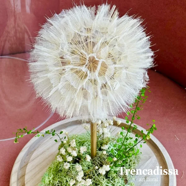Diente de león preservado